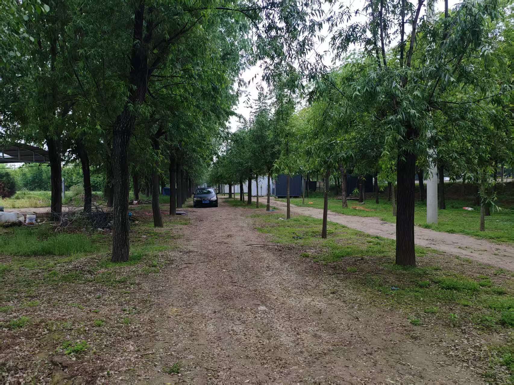 果园小路